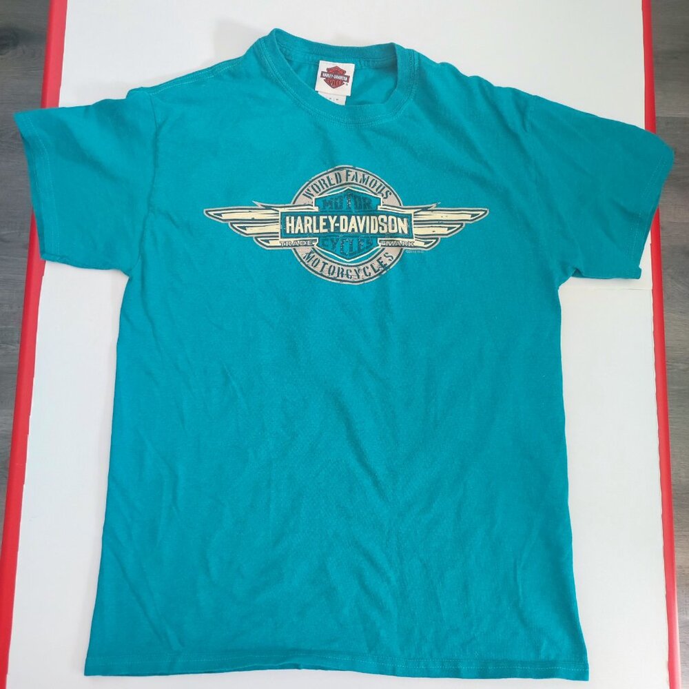 Harley-Davidson genuine short sleeve T-shirt teal with graphic design men's sz M